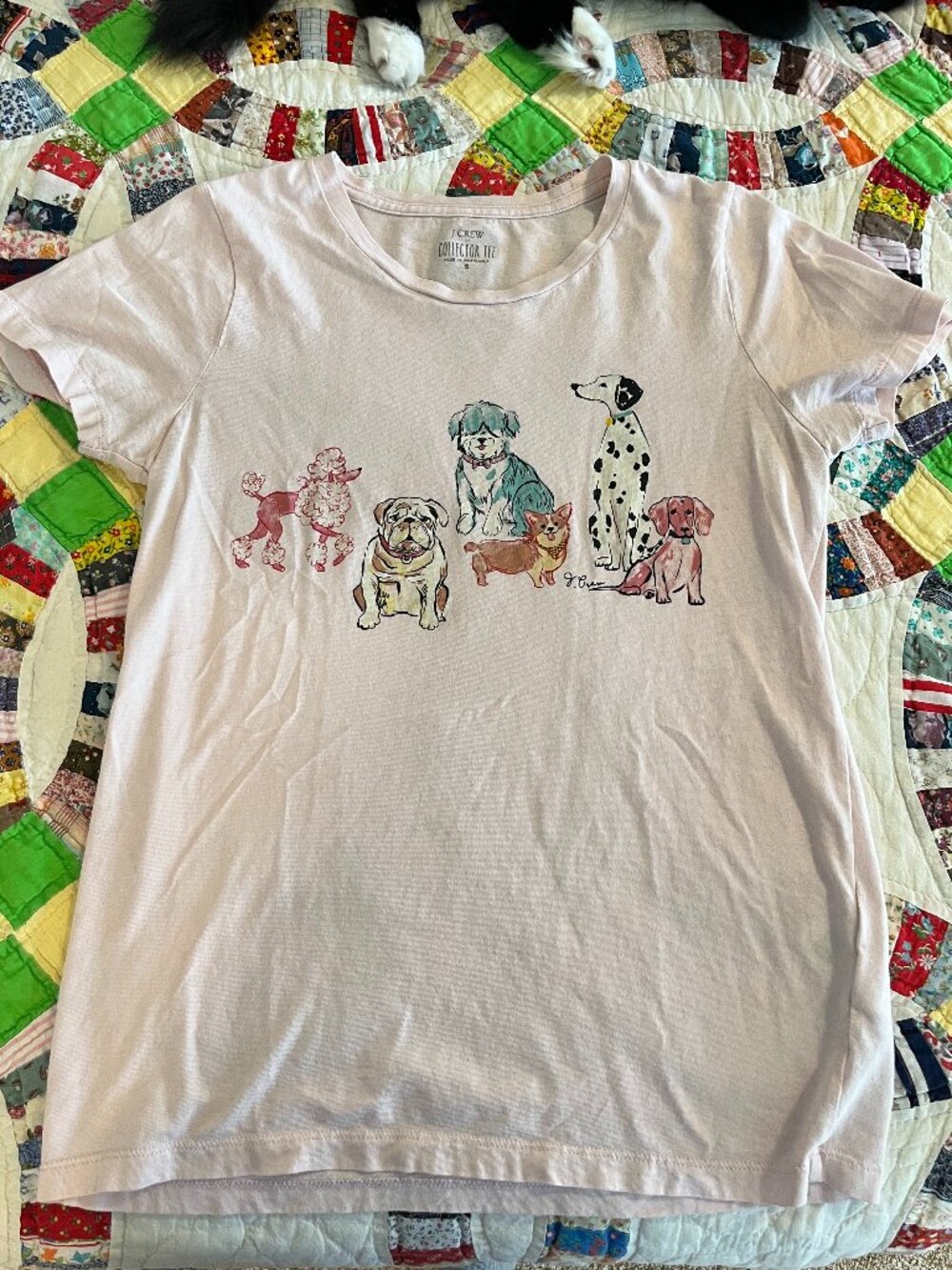 JCrew Collector Tee